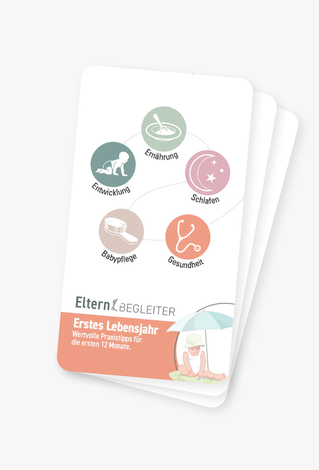 Elternbegleiter Erstes Lebensjahr