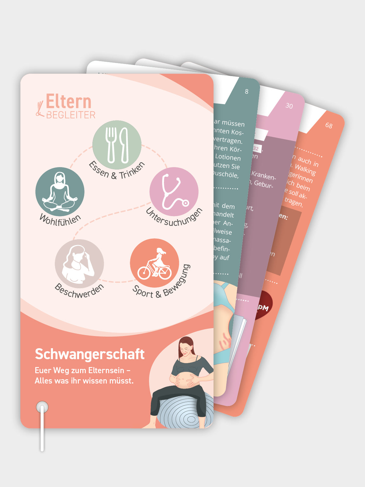 Elternbegleiter Schwangerschaft